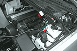 Расположение диагностических разъемов автомобилей BMW X5 (E53) 2001 г.